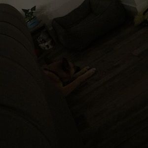 Meet your Posher, William